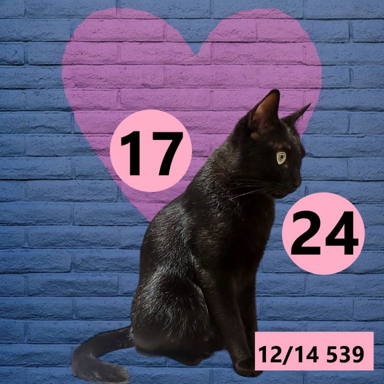 12212-17