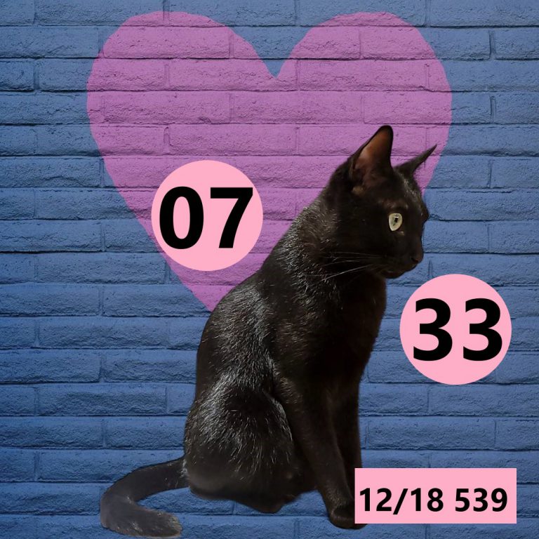 12212-20