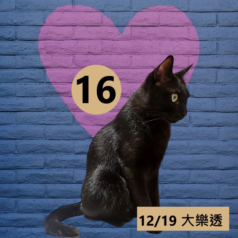 12212-23