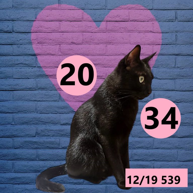 12212-24