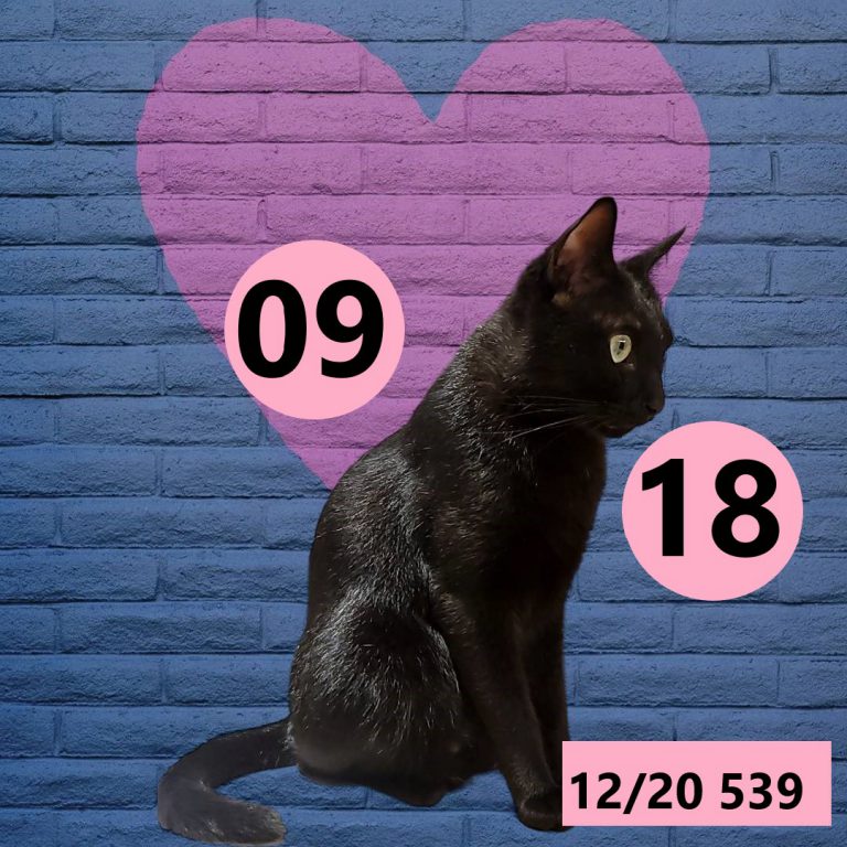 12212-25
