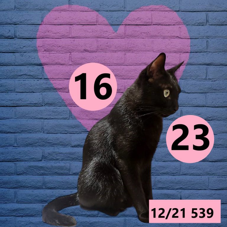 12212-26