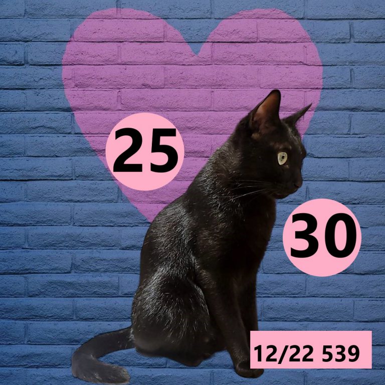 12212-28
