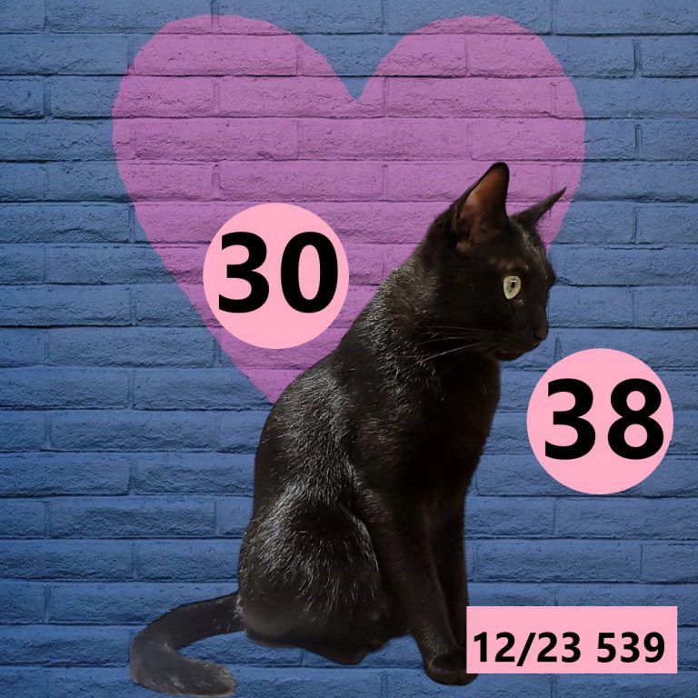 12212-29