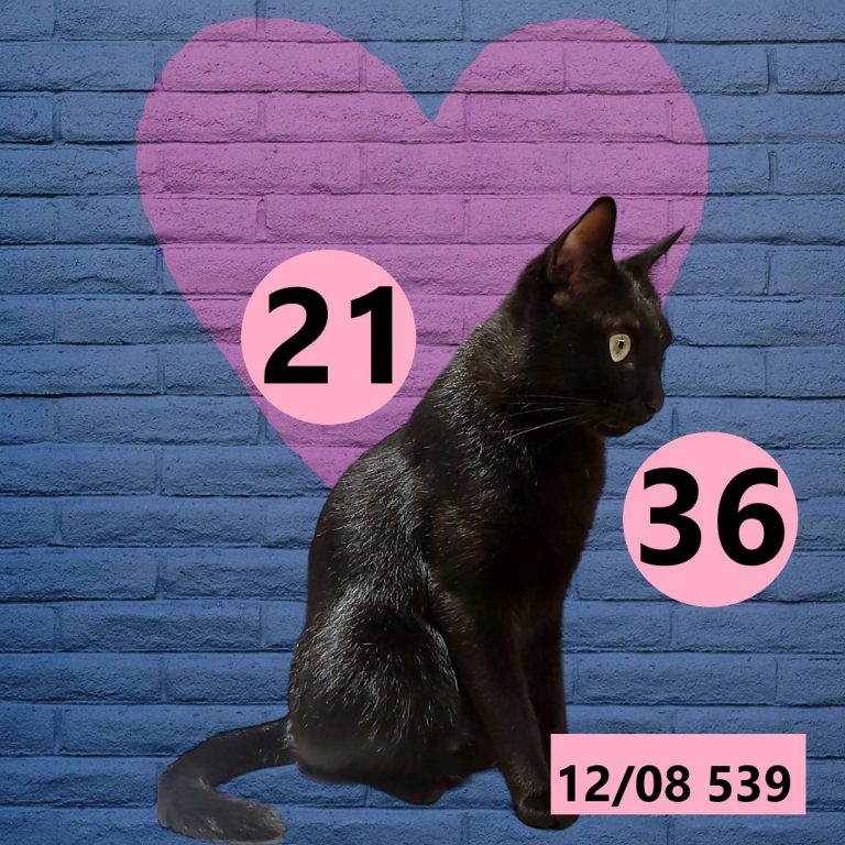 12212-3