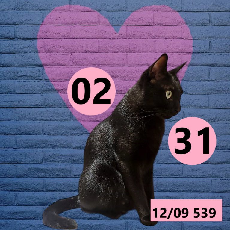 12212-6