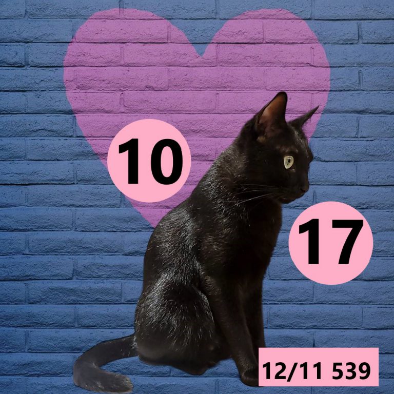 12212-9