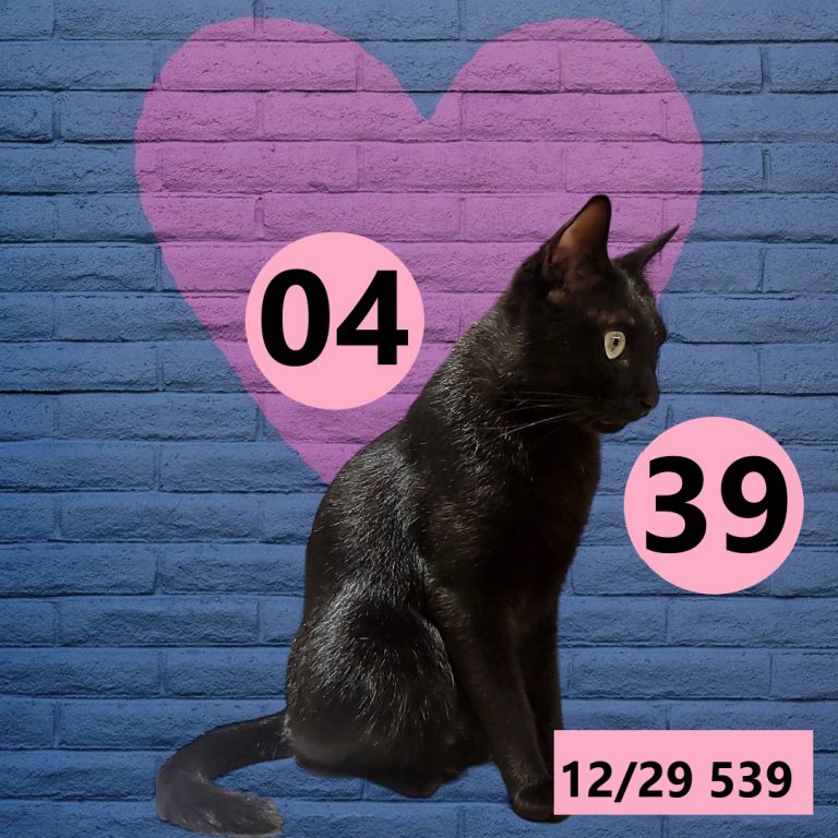 591565-5