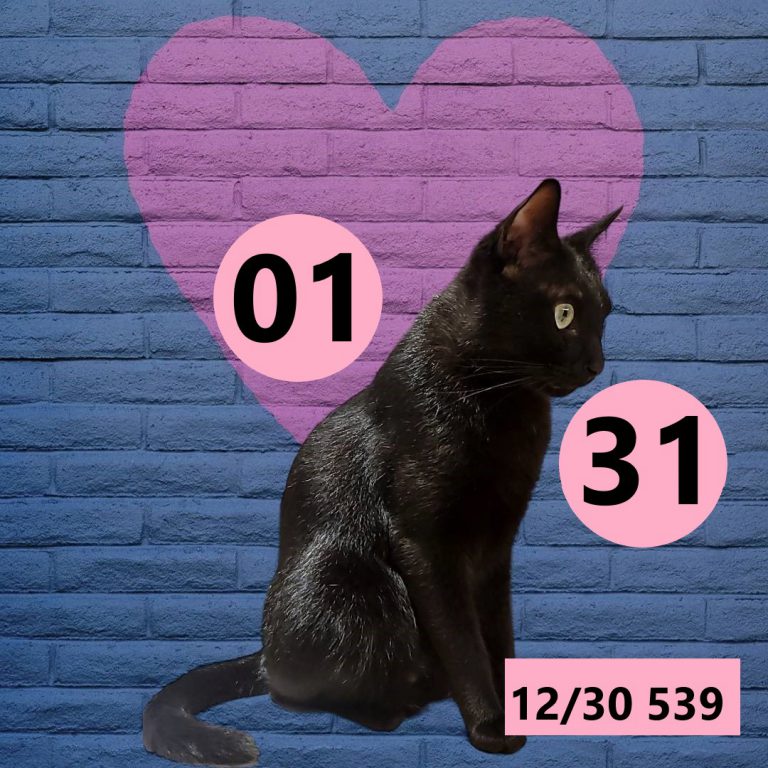 591565-7