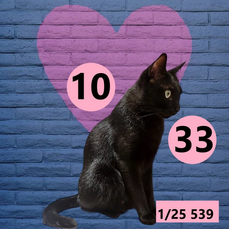 12212-1