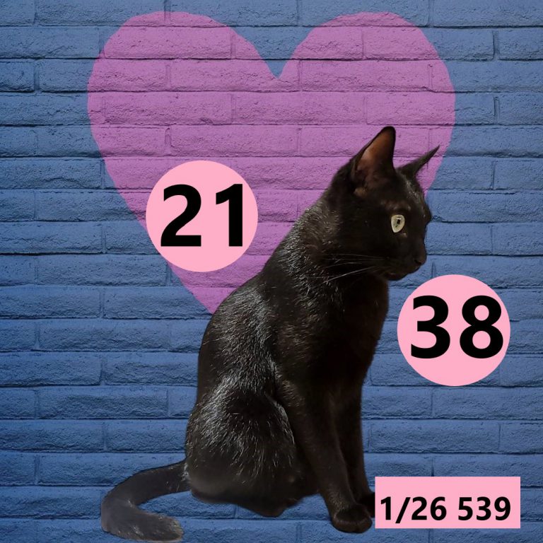 12212-2