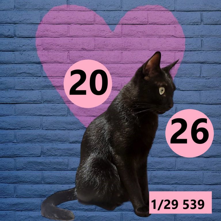 12212-4