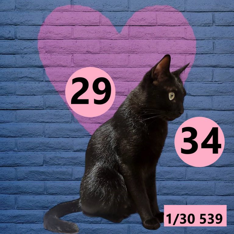 12212-5