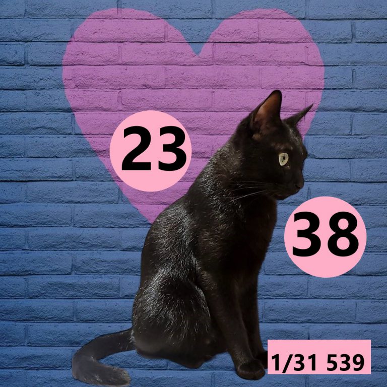 12212-6