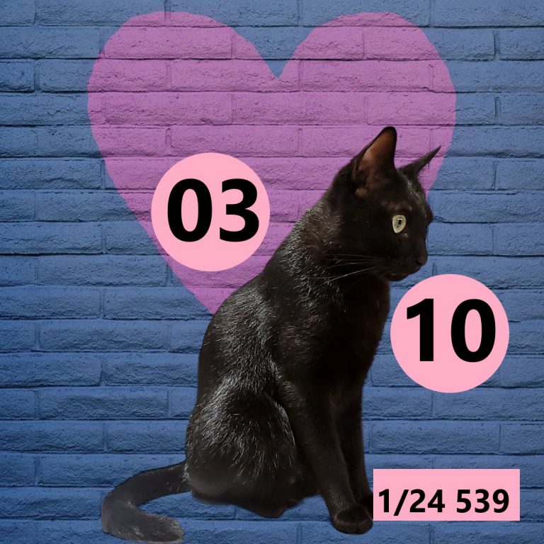 12212
