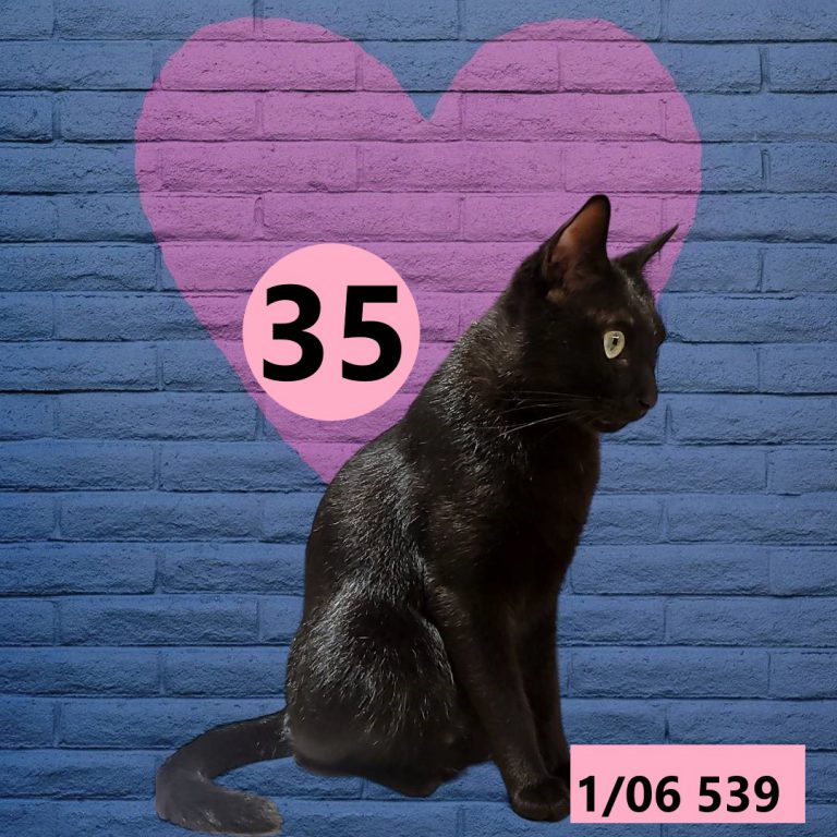 567341-8