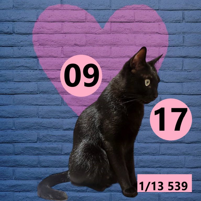 591565-13