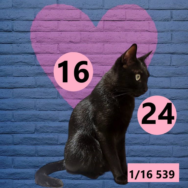 591565-15