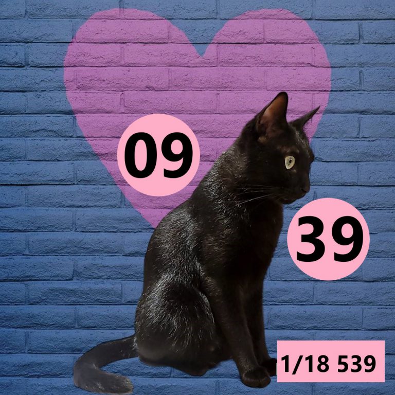 591565-17