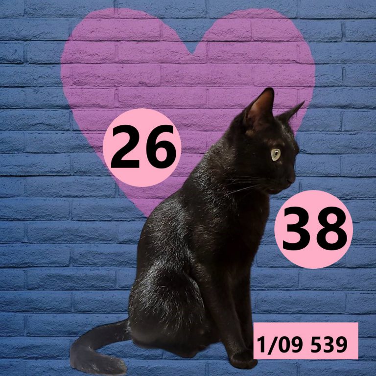 591565-9